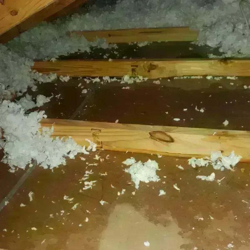 Attic Water Damage in Hidden Hills, CA