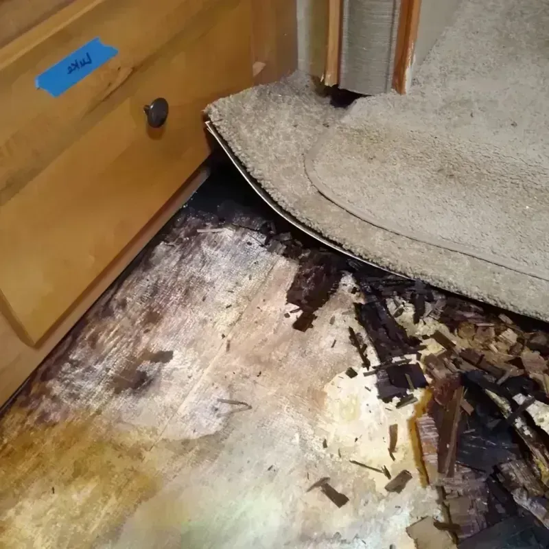 Wood Floor Water Damage in Hidden Hills, CA